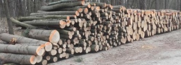 Burmistrz Miasta Augustowa ogłasza II przetarg nieograniczony na sprzedaż drewna opałowego