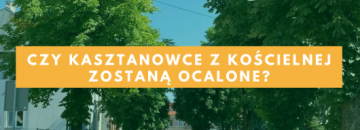 Czy starosta augustowski Jarosław Szlaszyński wytnie wszystkie kasztanowce na ulicy Kościelnej - tak, jak zrobił to na ulicy młyńskiej nie pytając ludzi o zdanie? 