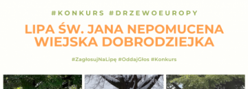 plakat na tle zdjęć drzew na środku białe tło z napisem Konkurs drzewo Europy  Lipa św. Jana Nepomucena Wiejska Dobrodziejka Zagłosuj na lipę 